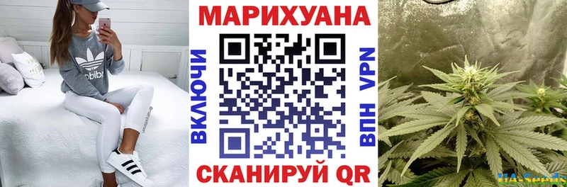 Купить наркоту Великие Луки Alpha-PVP  Гашиш  Псилоцибиновые грибы  NBOMe  Конопля 
