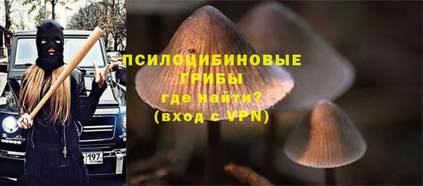 мдпв Беломорск