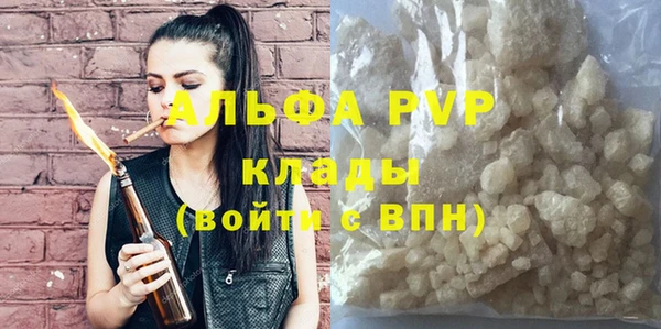 трава Белокуриха