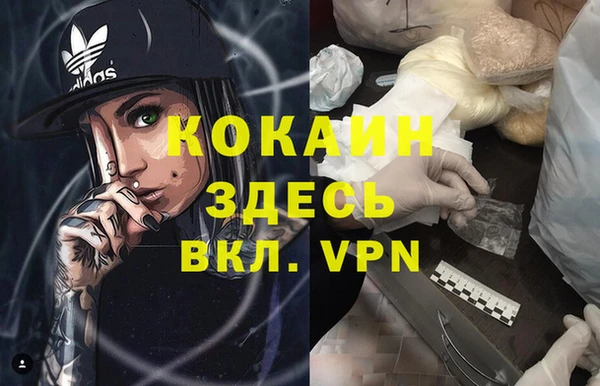 мдпв Богородицк