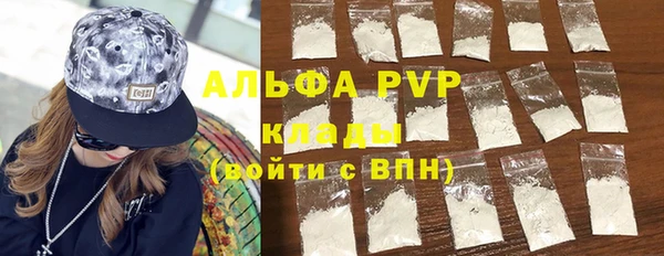 трава Белокуриха