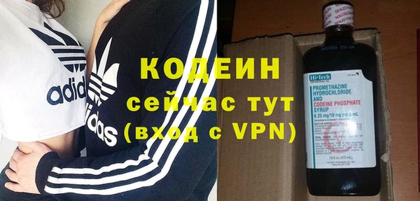 трава Белокуриха