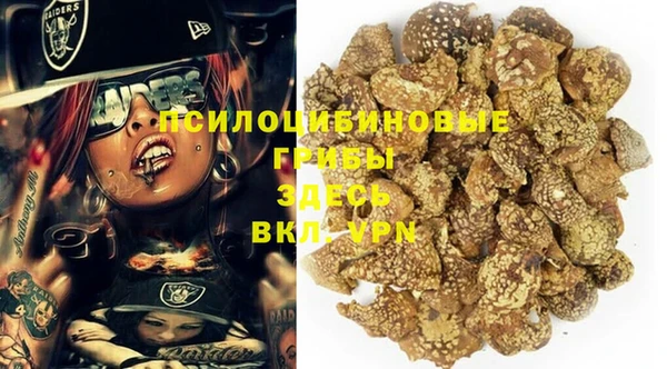 хмурый Богданович